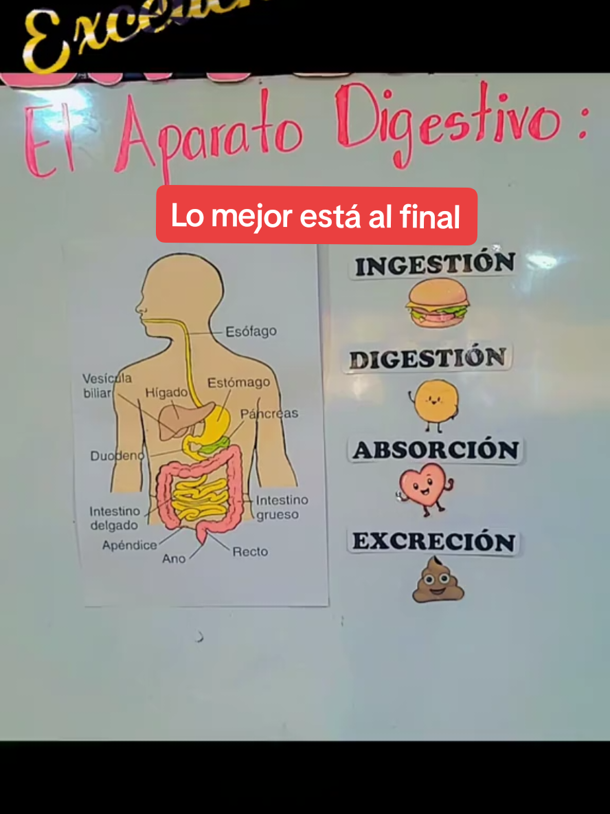 @👩&zwj;🏫Miss Nory Rivera🍎