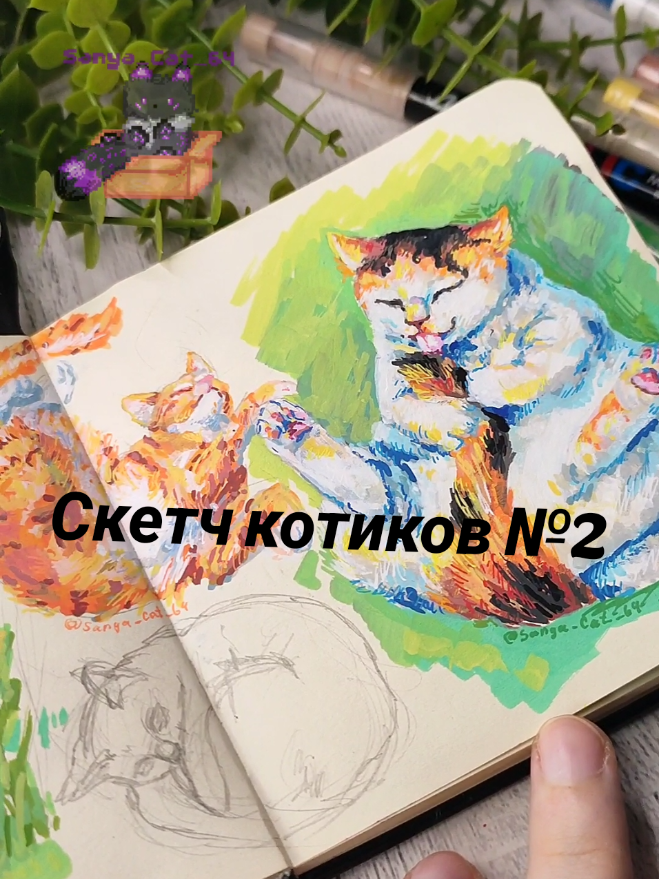 @САня