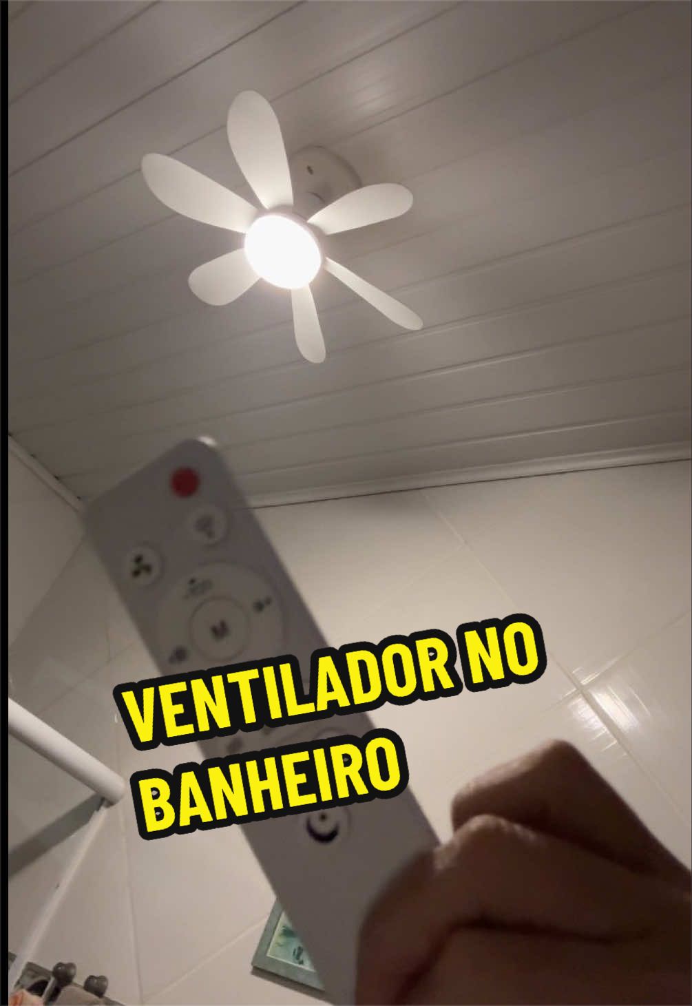 @Fernanda Sisa