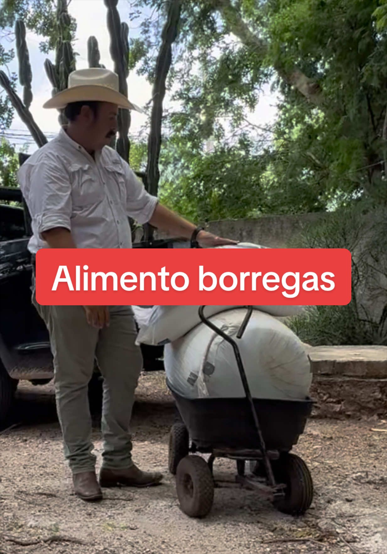 @Jos&eacute; Ram&oacute;n Medina