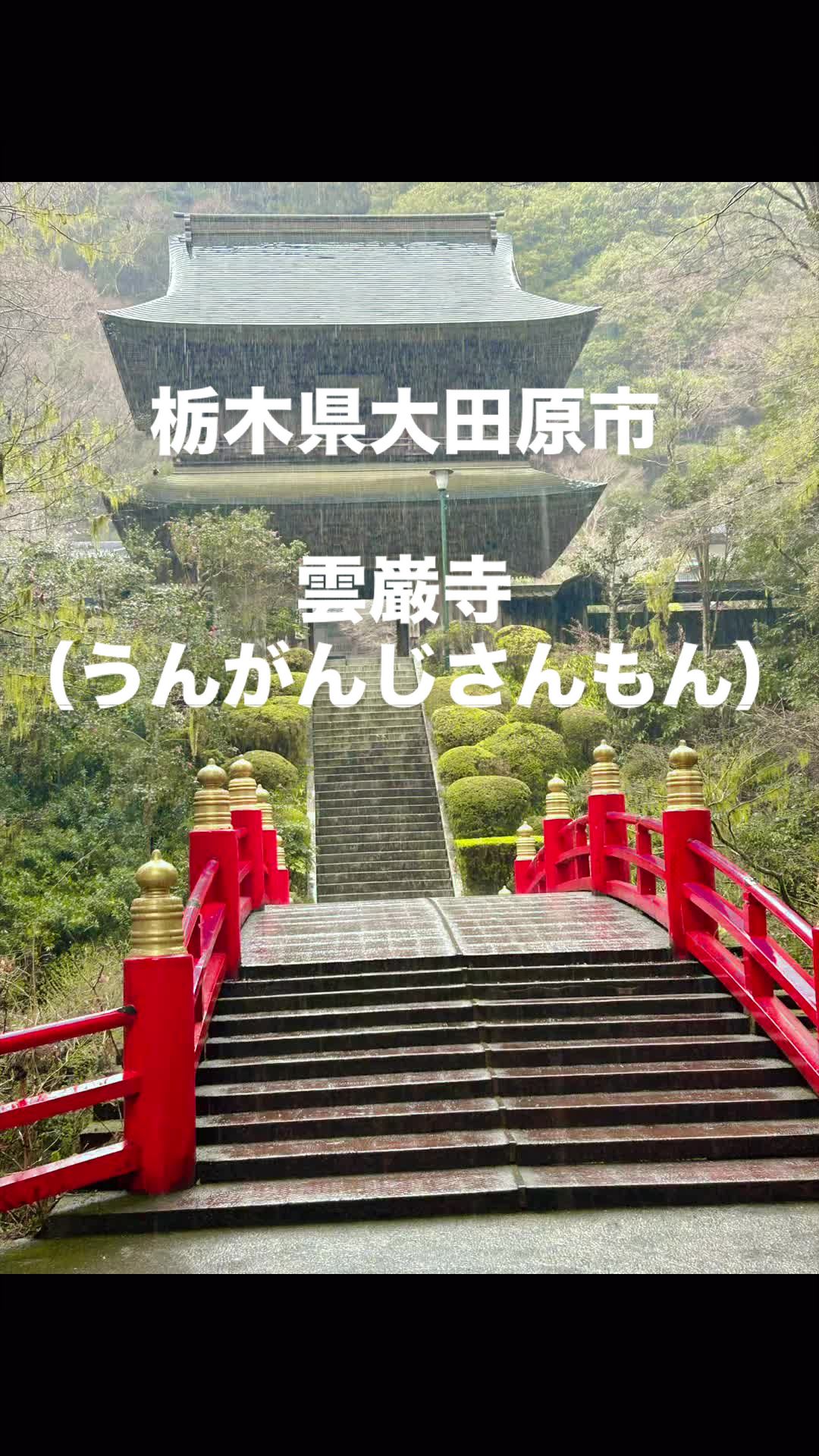@♡さくらの♡