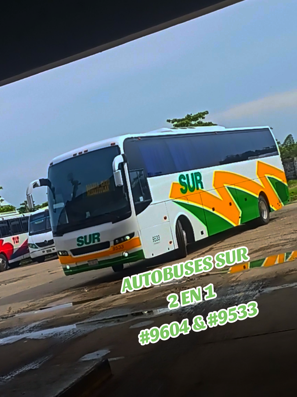 @Busologia Veracruzana 🍀🚍
