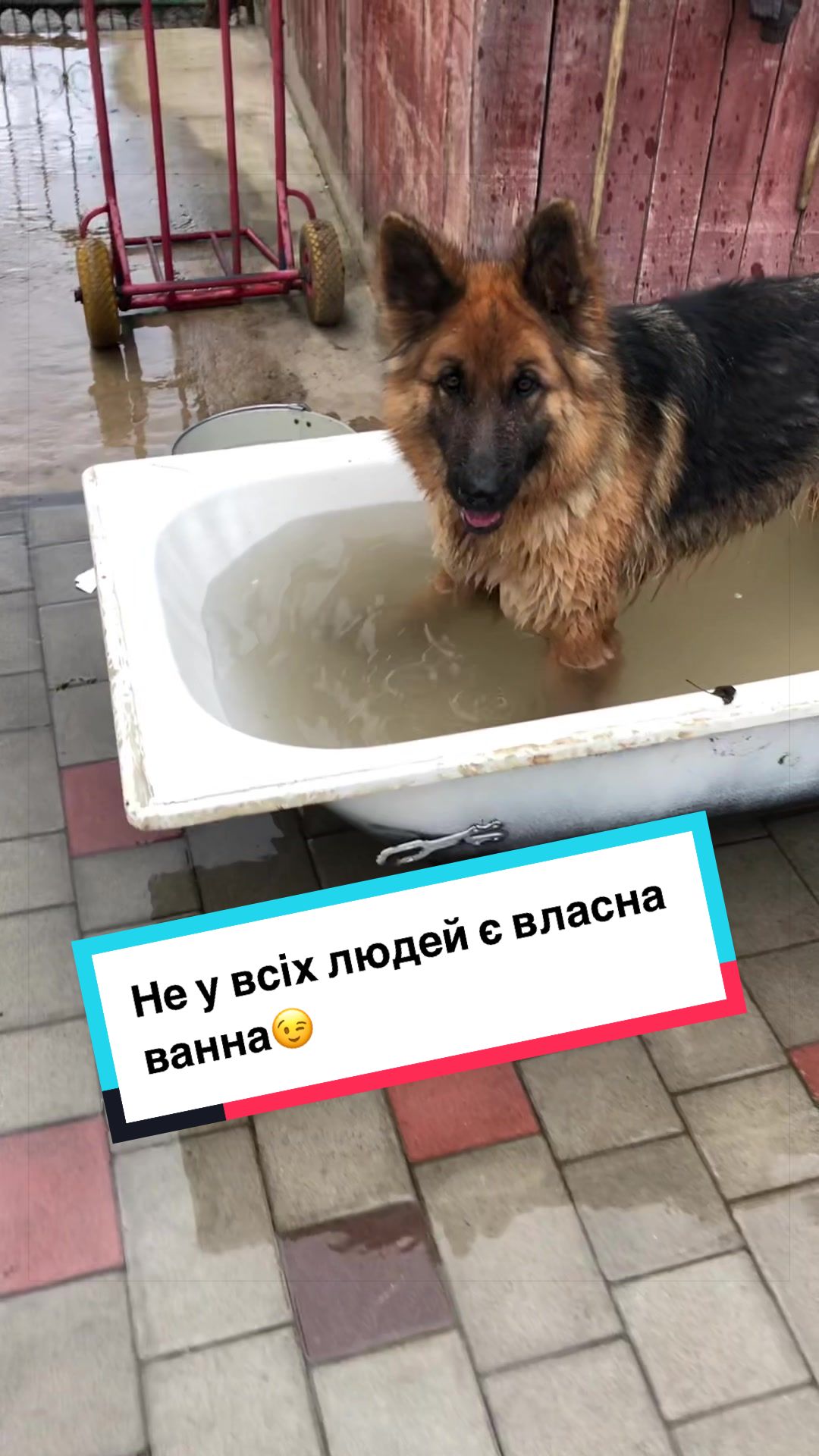 @marynka🇺🇦