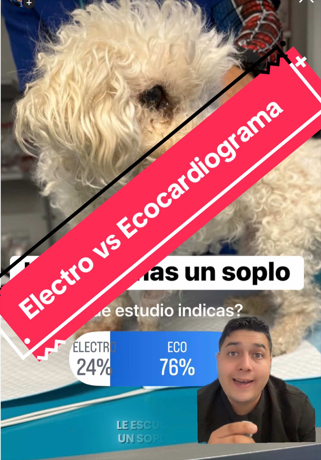 @mvzcardiovetsantelices