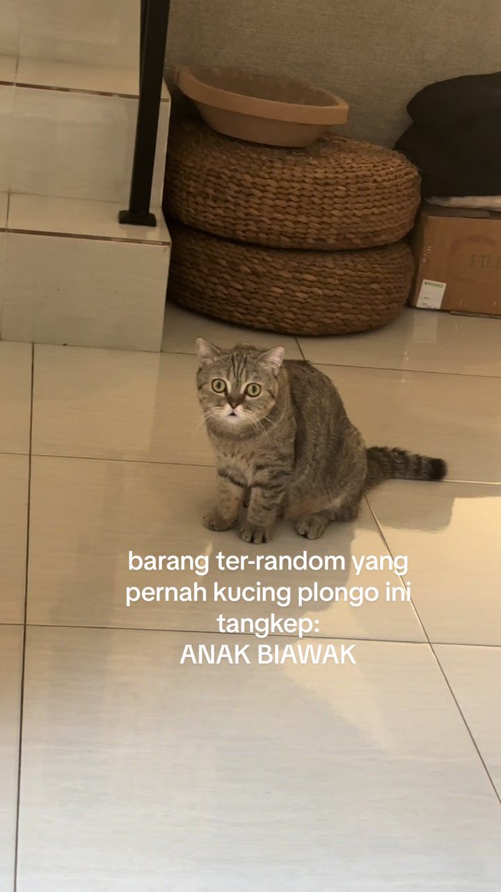 @OxaliStore