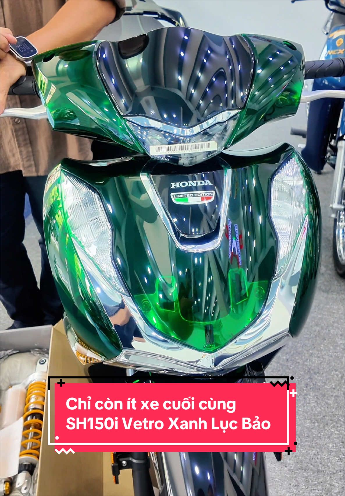 @Quốc Cường Cub House