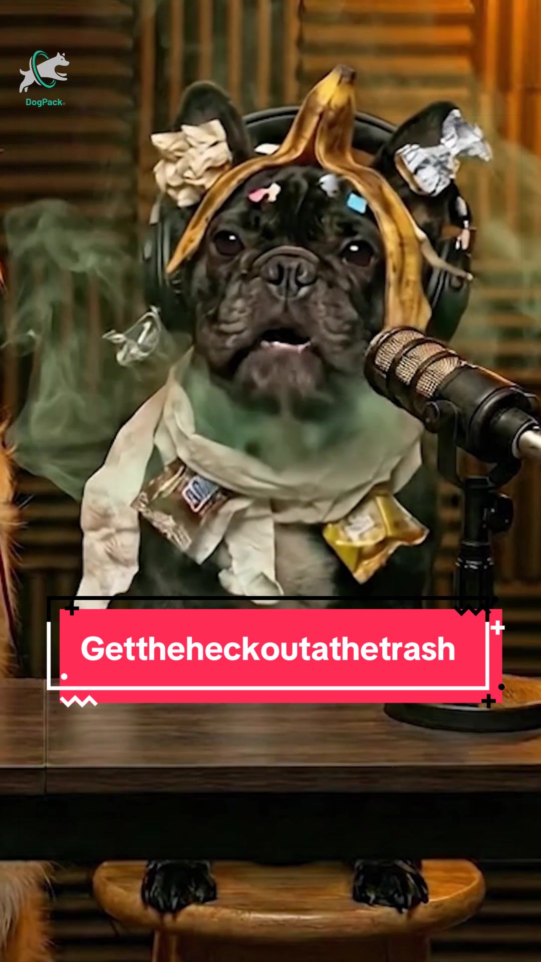 @DogPack