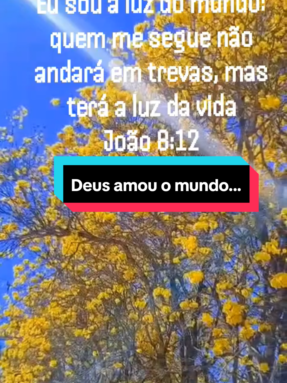 @Maria Paiva paiva