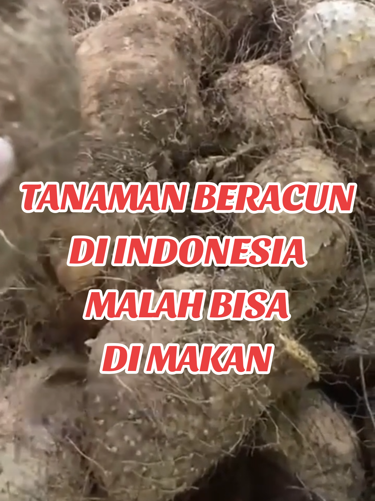 @PENJELAJAH BUMI.