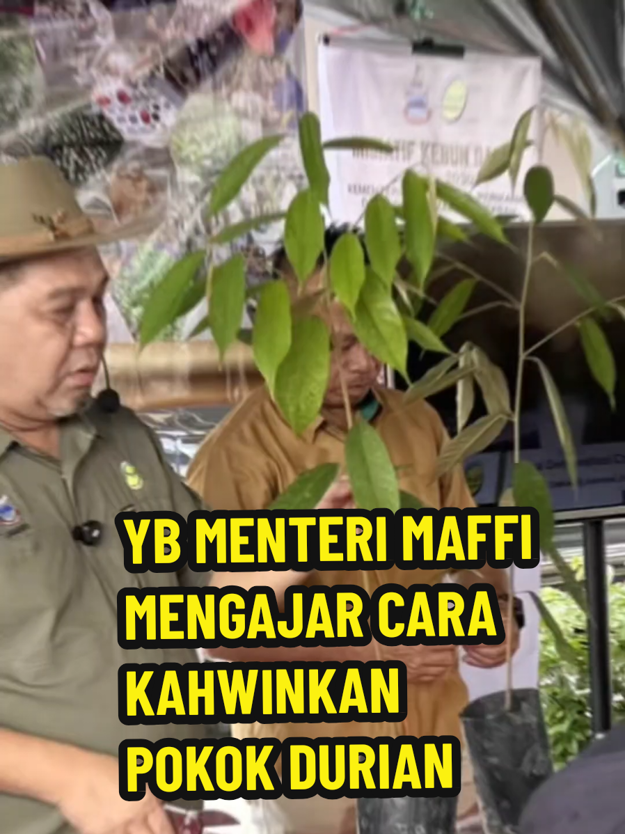 @Jumain Abd Ghani (DJAG)