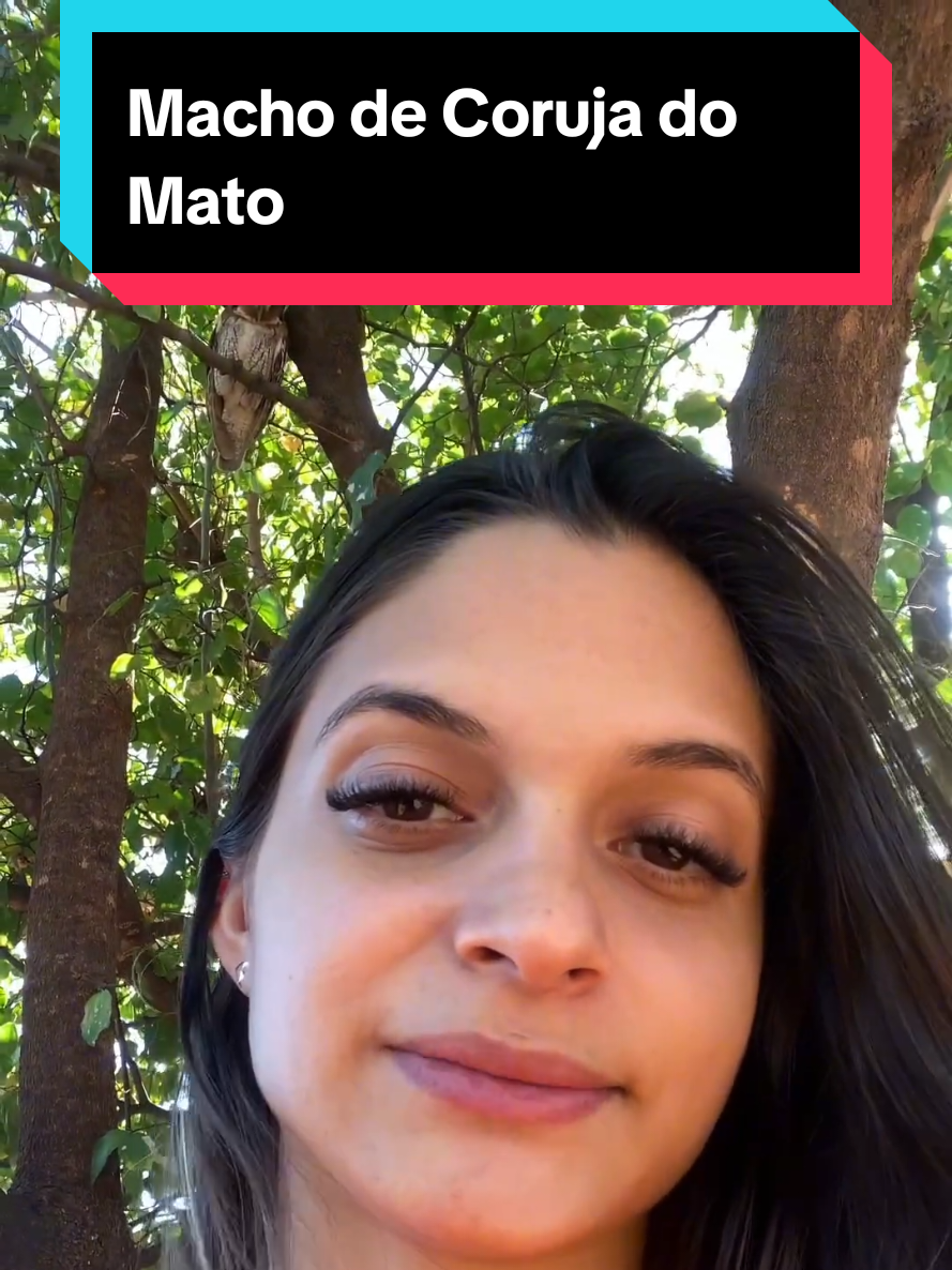 @Princesa das Serpentes
