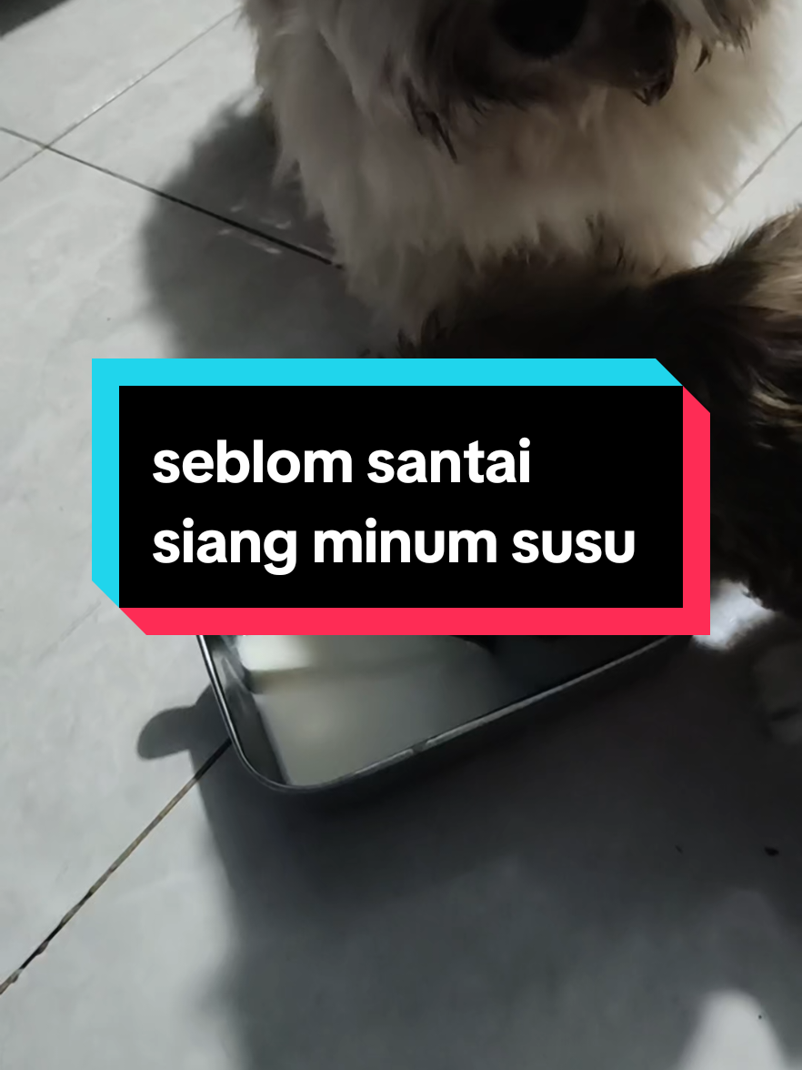 @Sarah Purnama ❤️❤️❤️