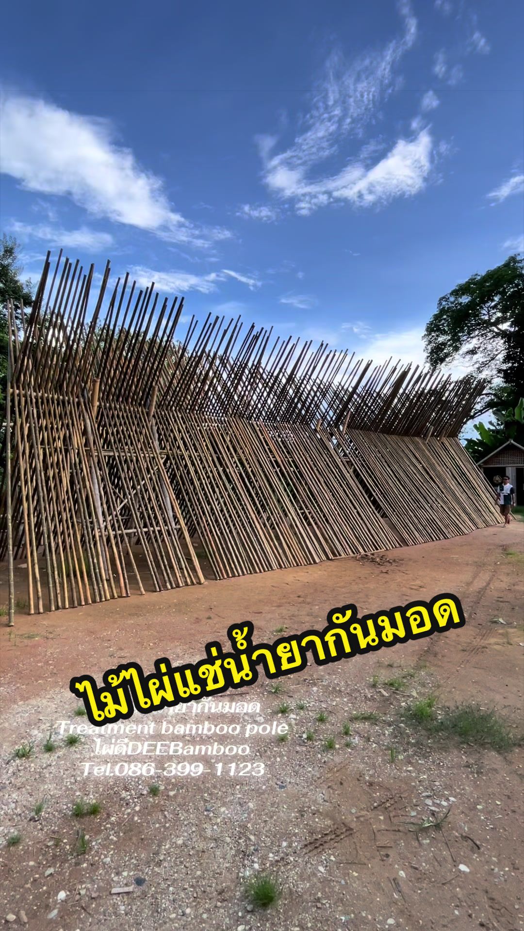 @ไผ่ดี DEE Bamboo