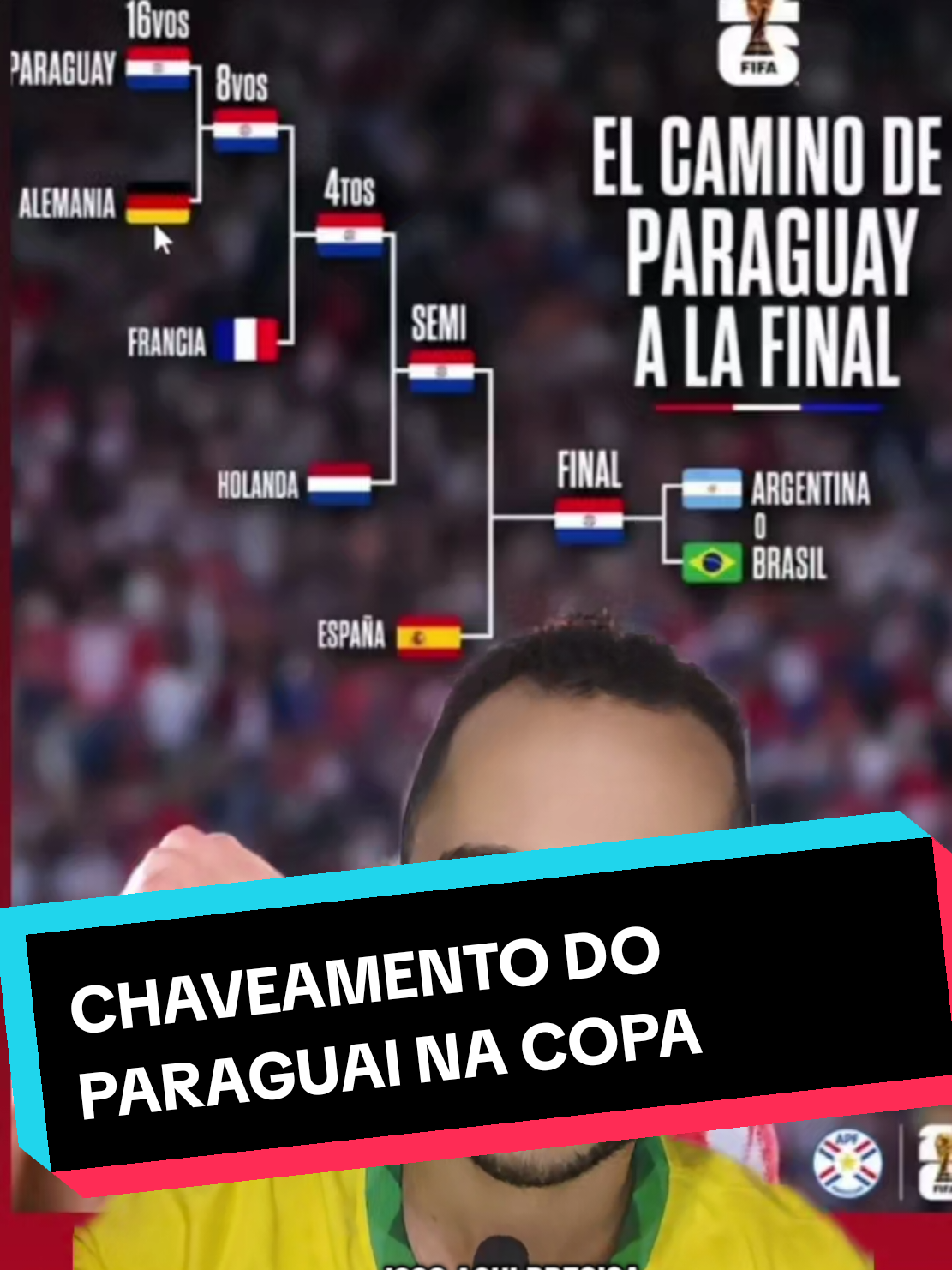 @analistaleigo