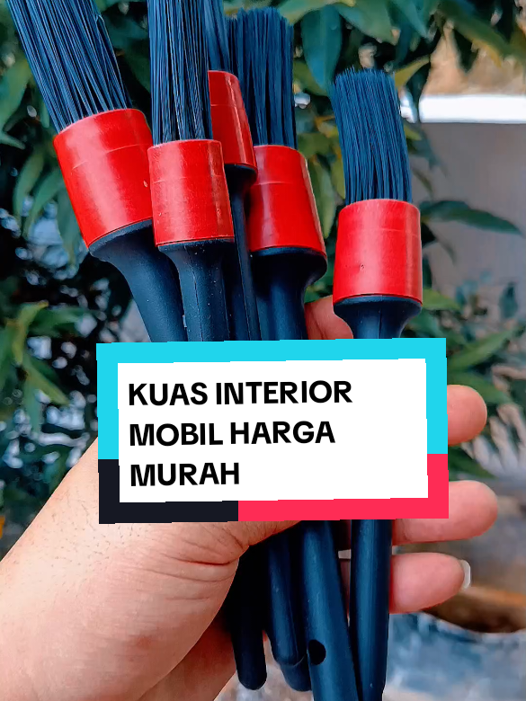 @yunfa lovers