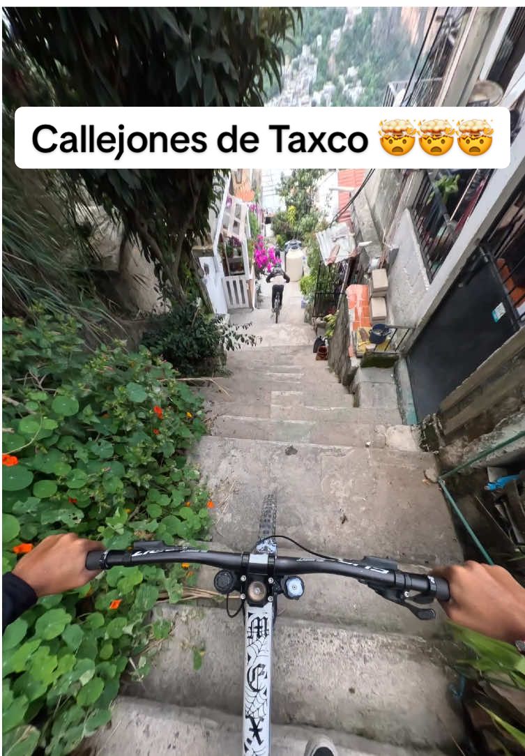 @Sebas Sotelo