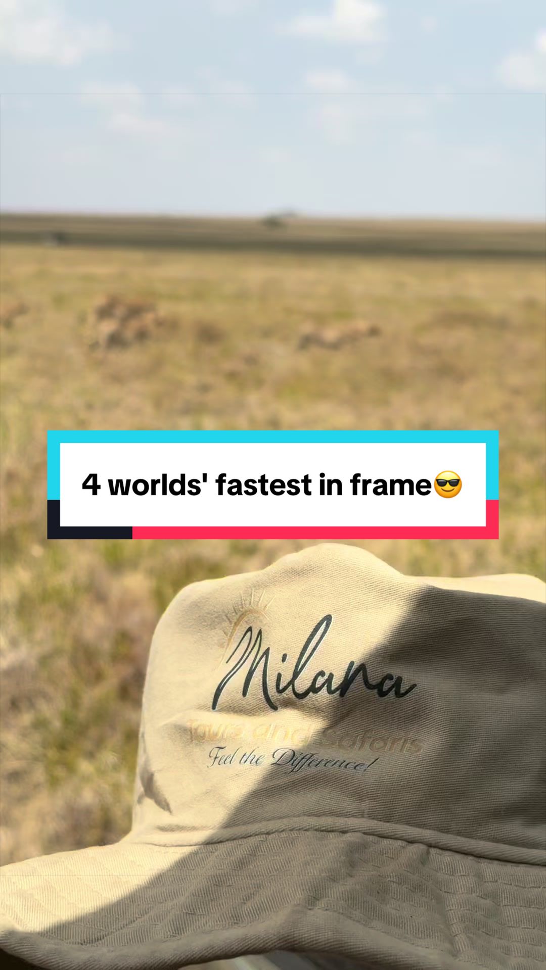 @Milana Tours and Safaris