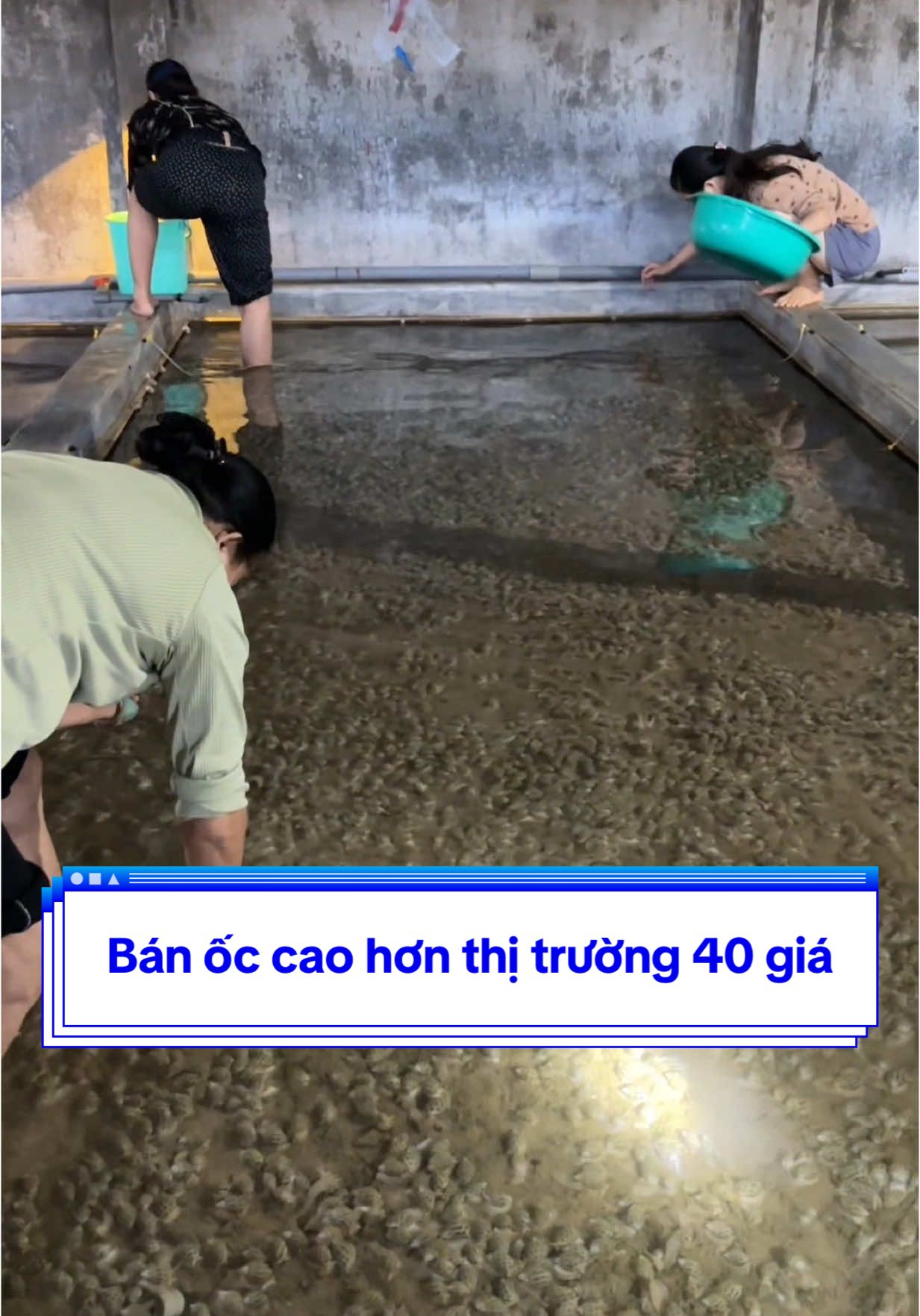@Mr Qu&acirc;n