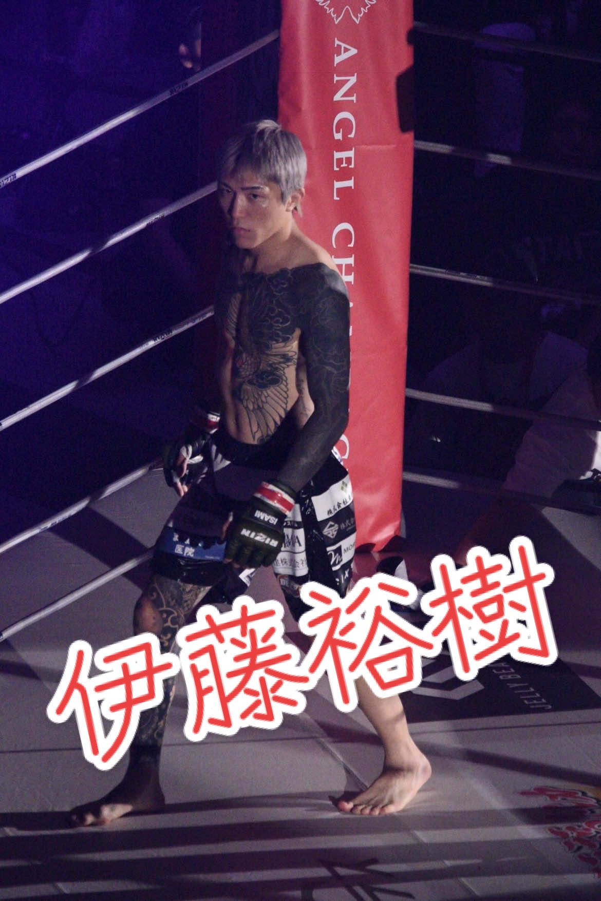 @肉球パンチ👊