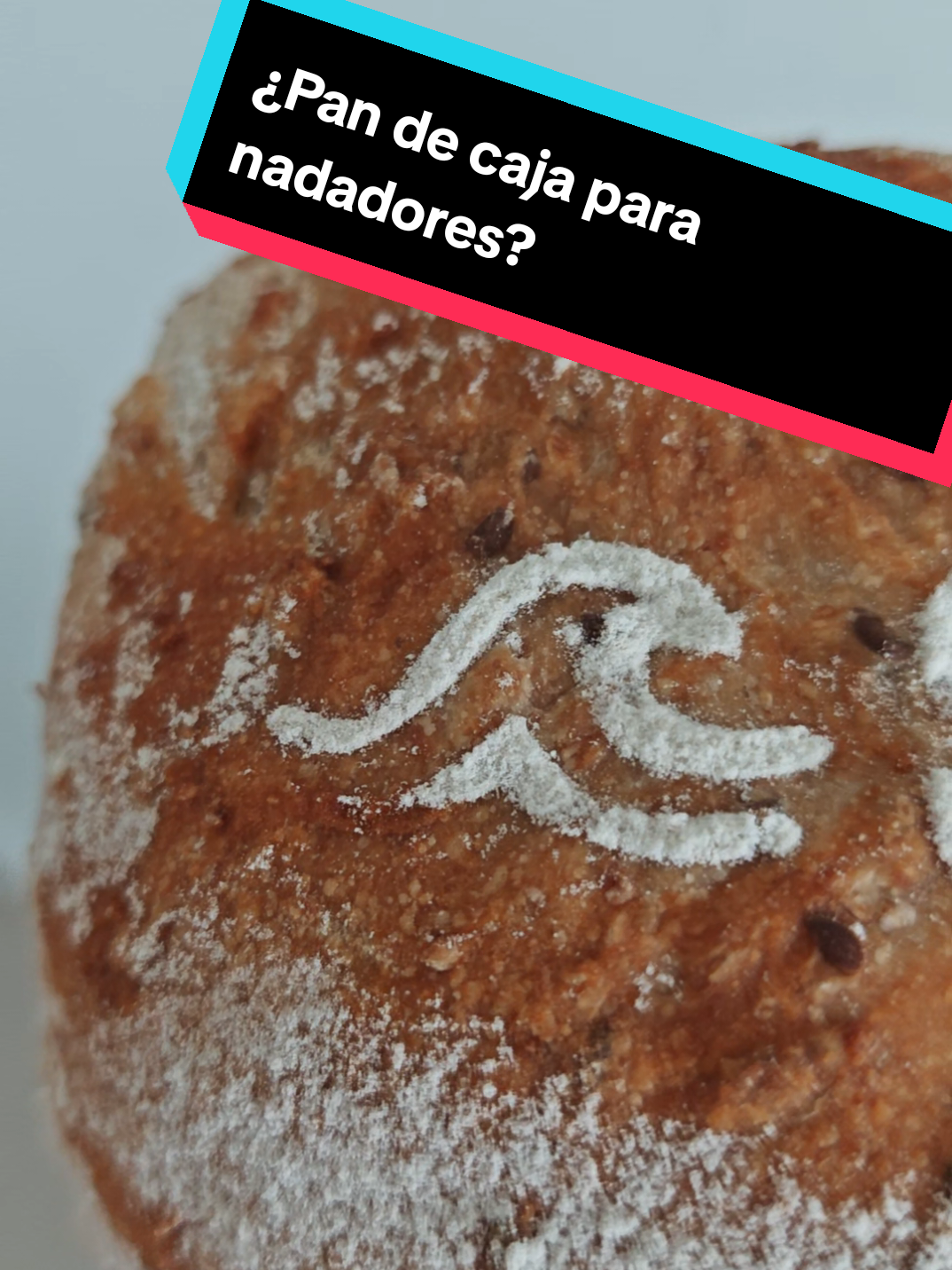 @ironpan.mx