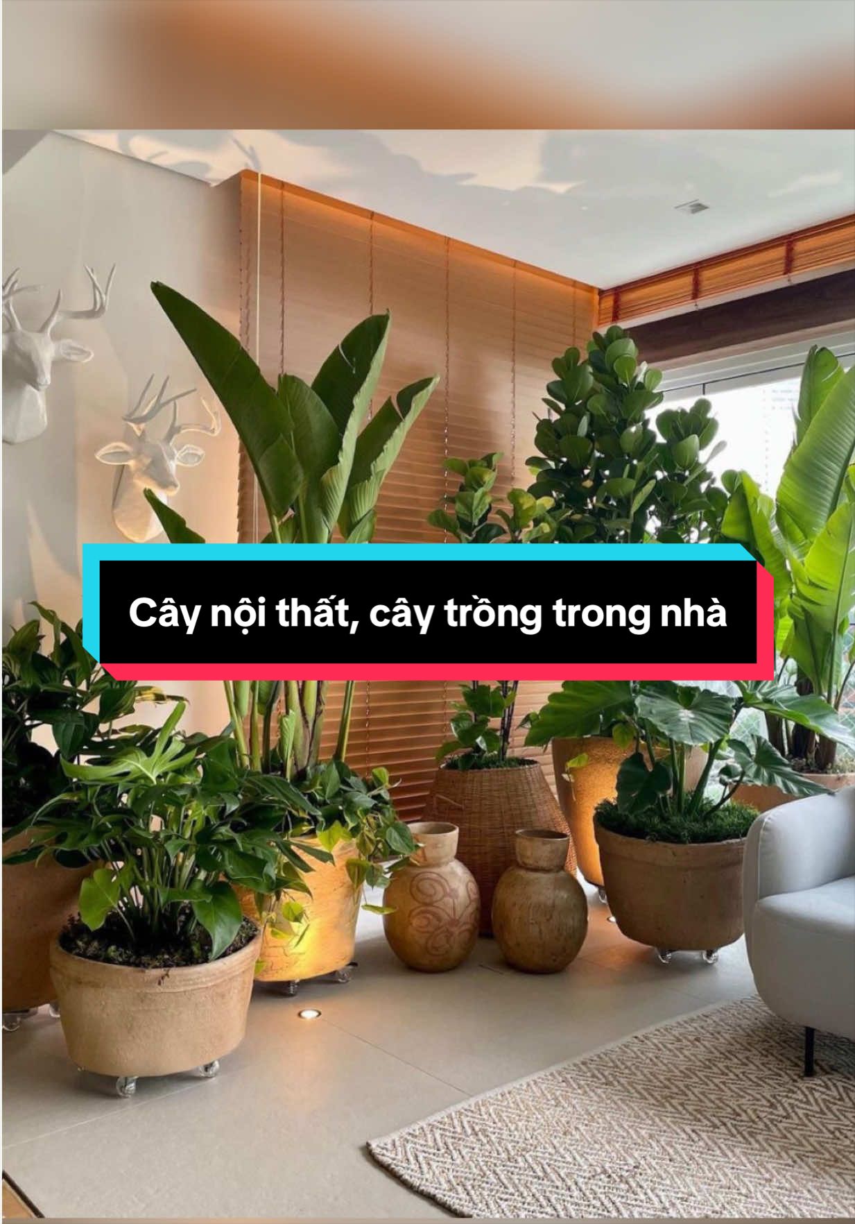 @Tiệm Lá Nhỏ
