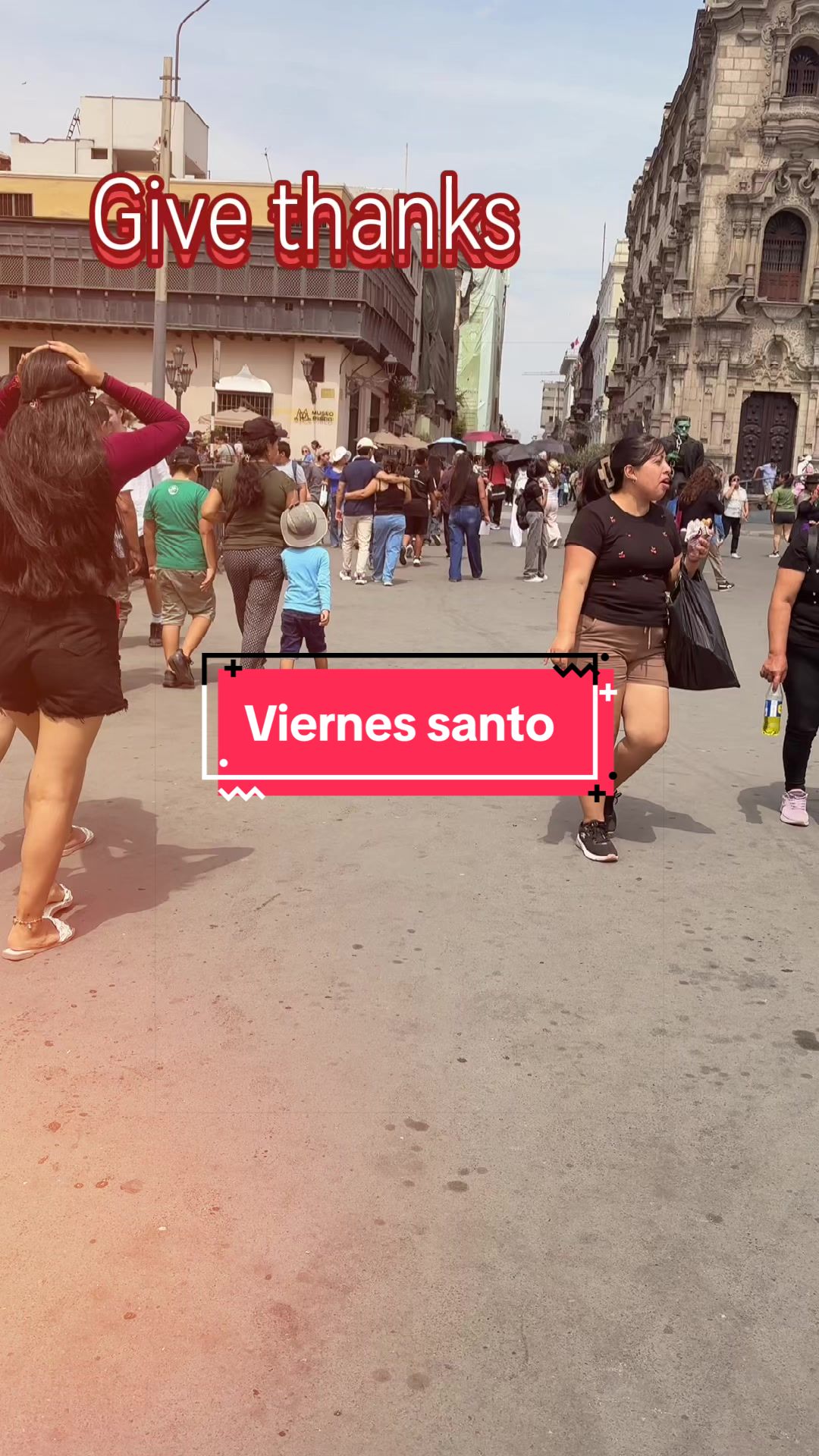 @cofochita