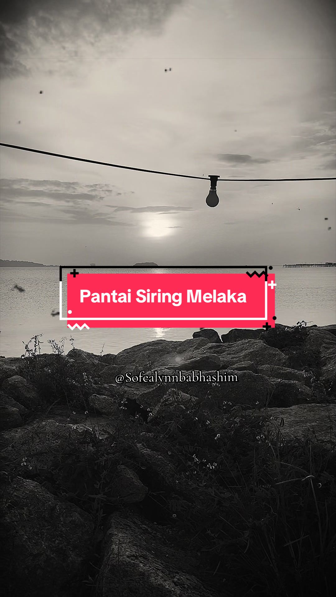 @ֆօʄɛǟʟʏռռ