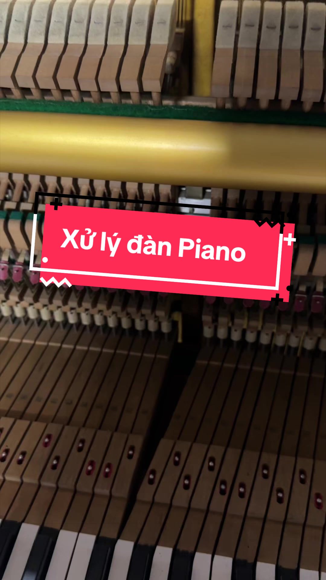 @Trí Hiền