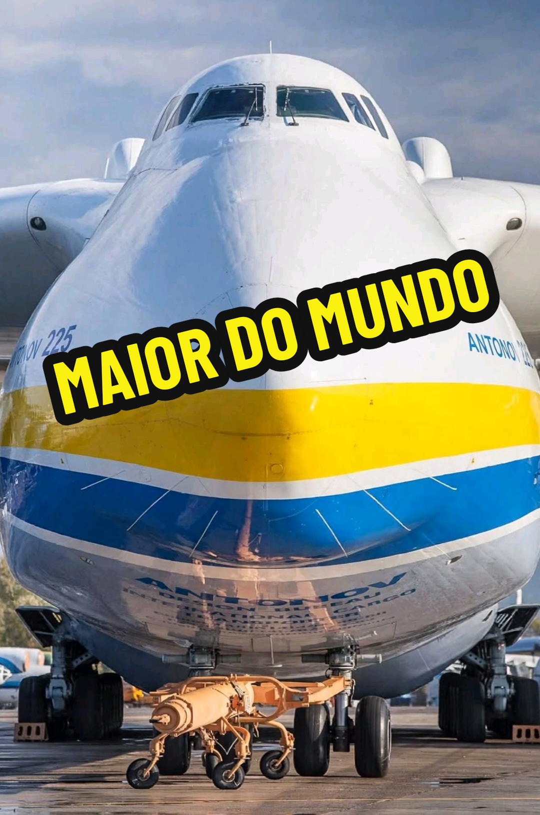 @RAIZ DO SABER
