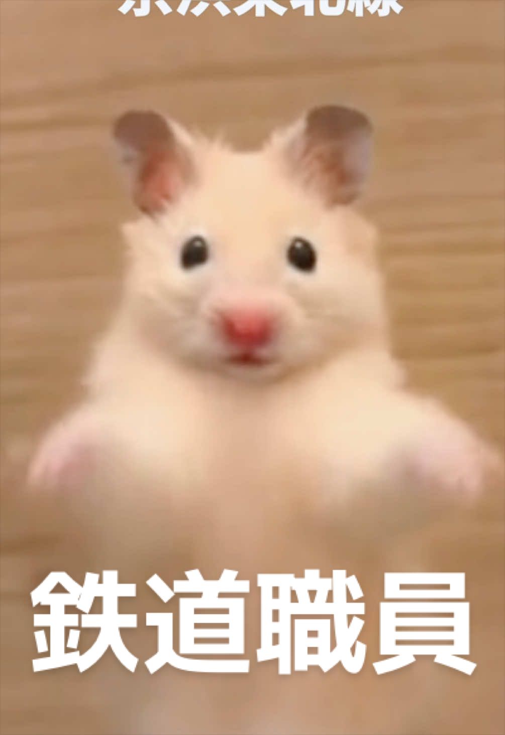 @FCham