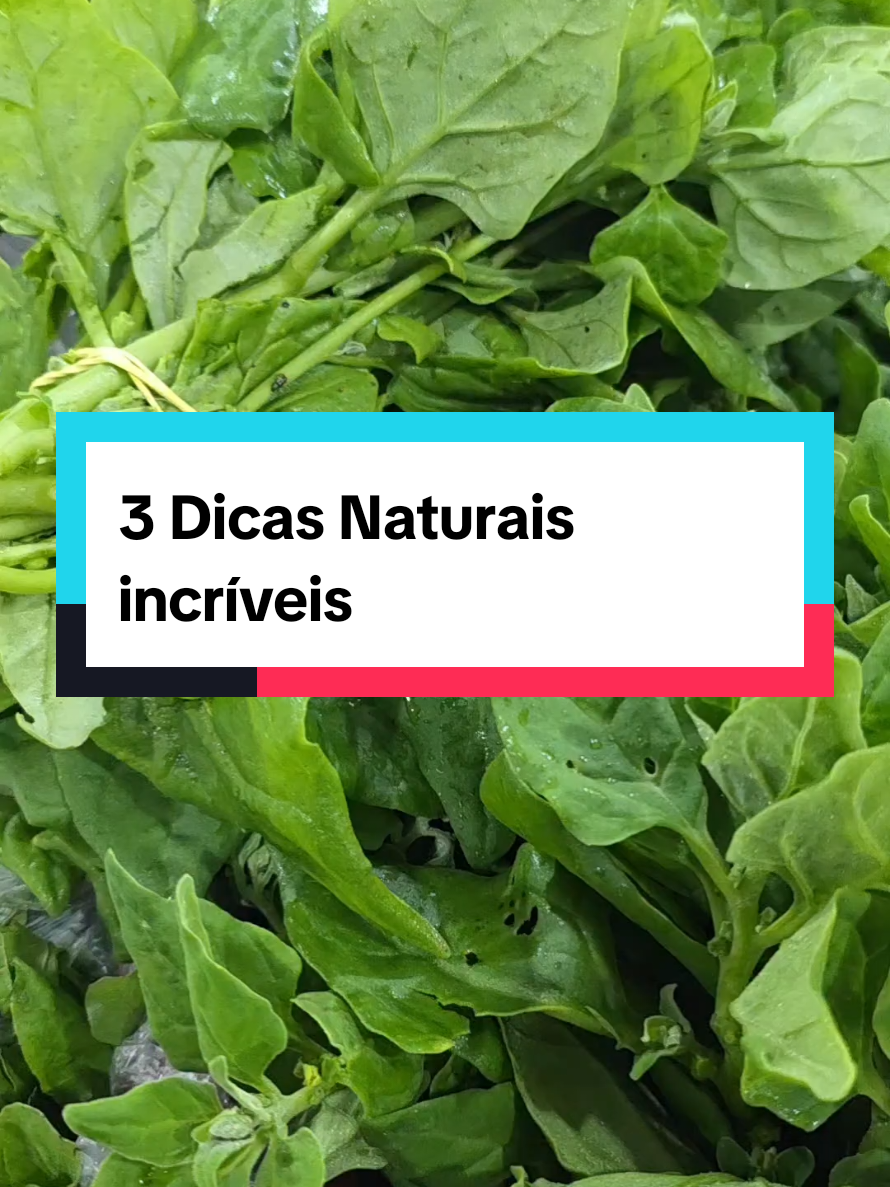@Dicas e Receitas Naturais