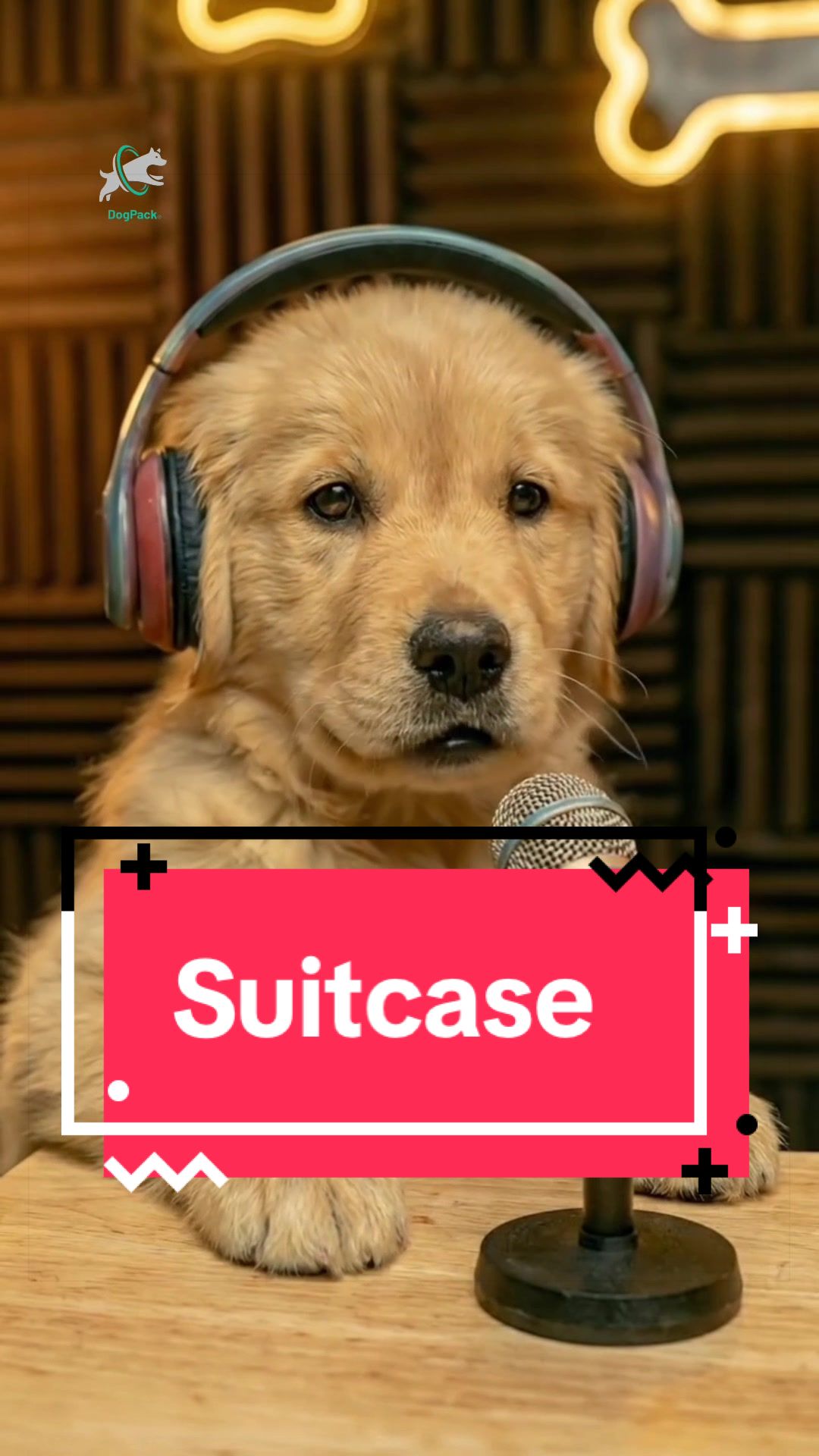 @DogPack
