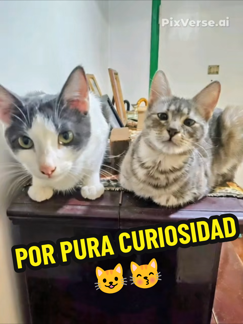 @TITA y RHODESIA