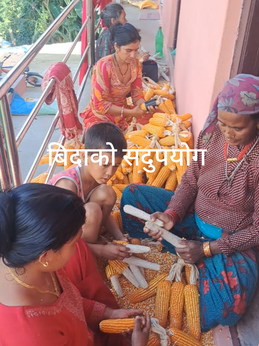 @krishna Bista oli❤️