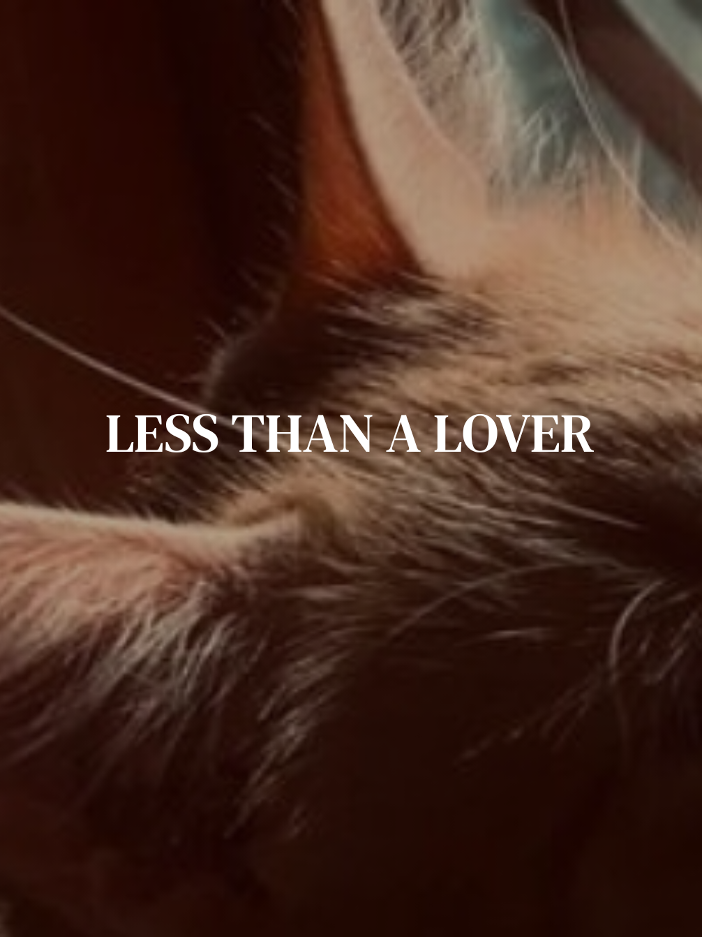 @❦ 𝐀𝐮𝐬𝐭𝐞𝐥