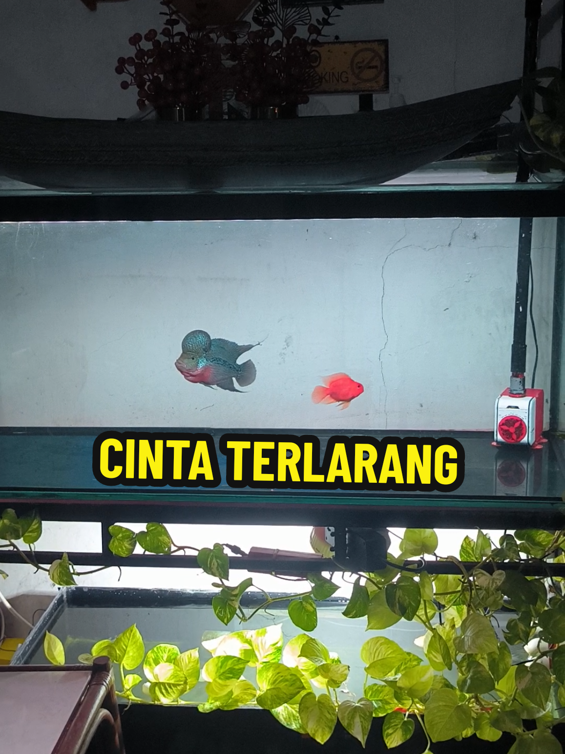 @Punya Namita