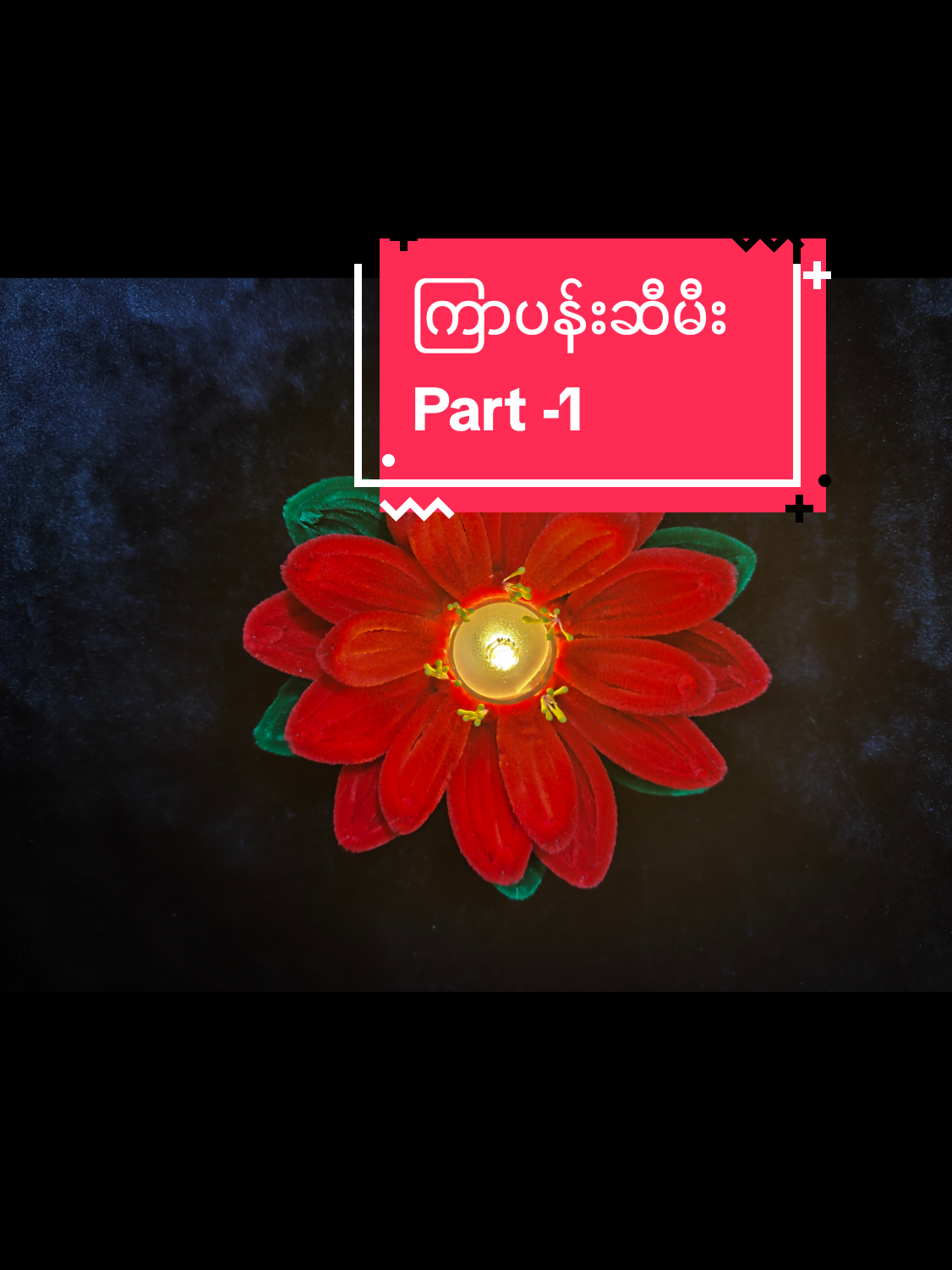 @SuNaingAung (Floral By Su)