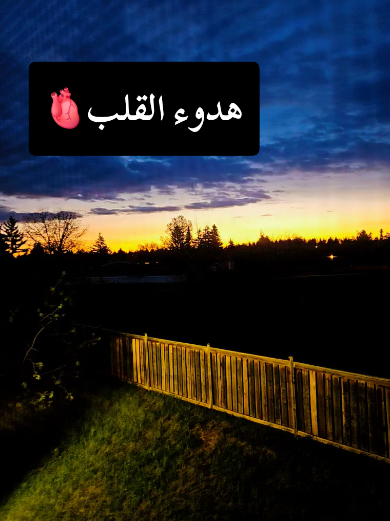@🍃🌸Tahani Khafas🌸🍃