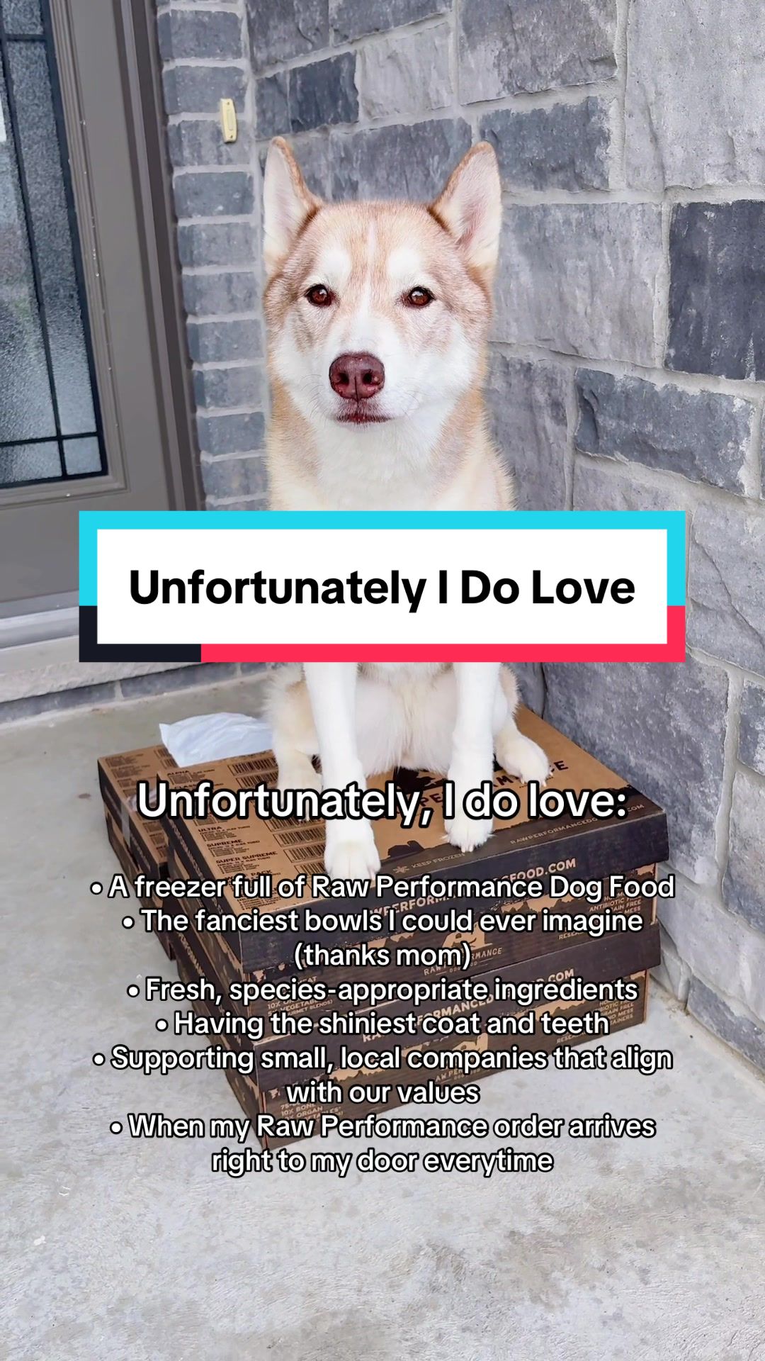 @Ace, Nala, Roxy & Kyra