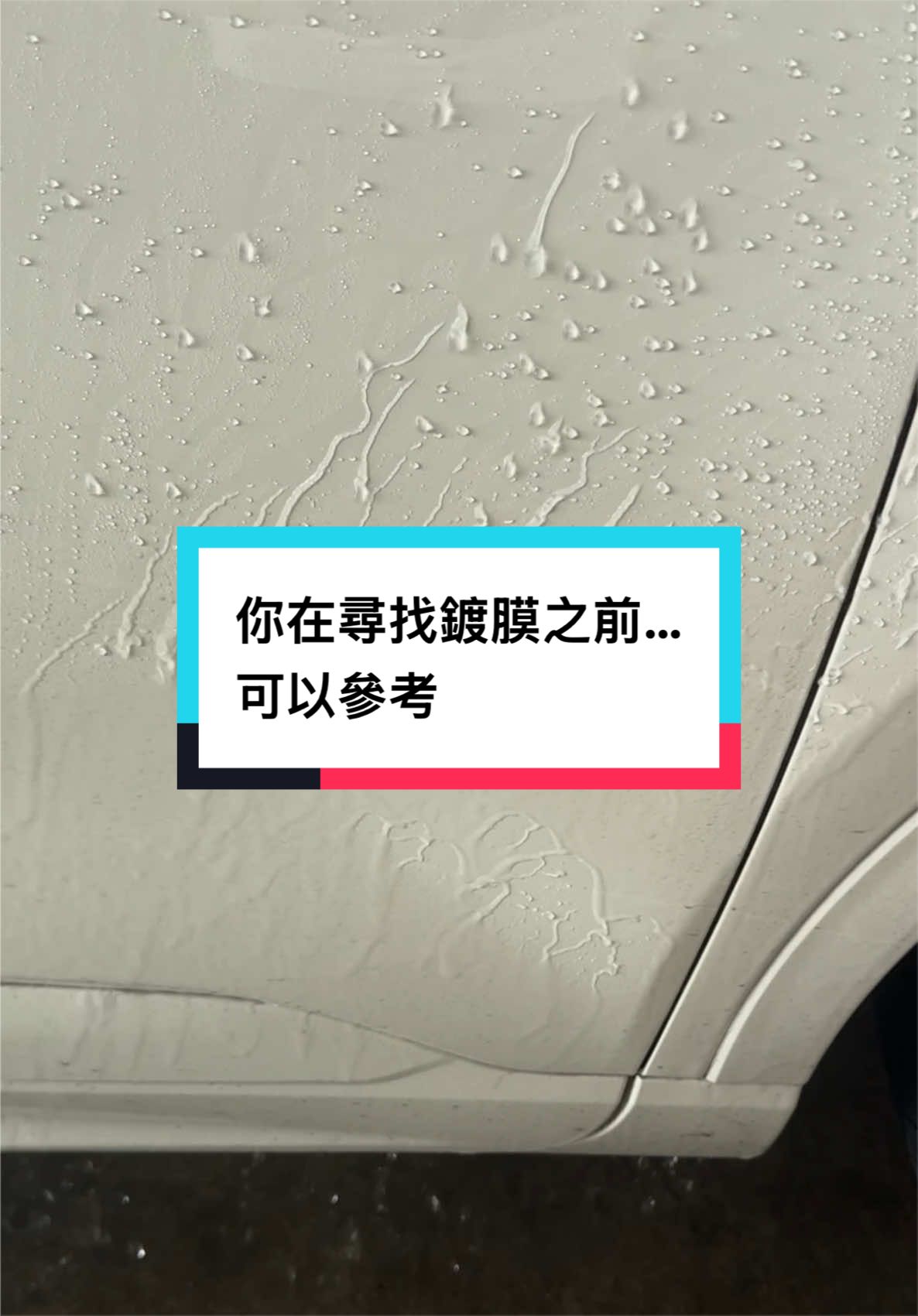@邦尼洗車