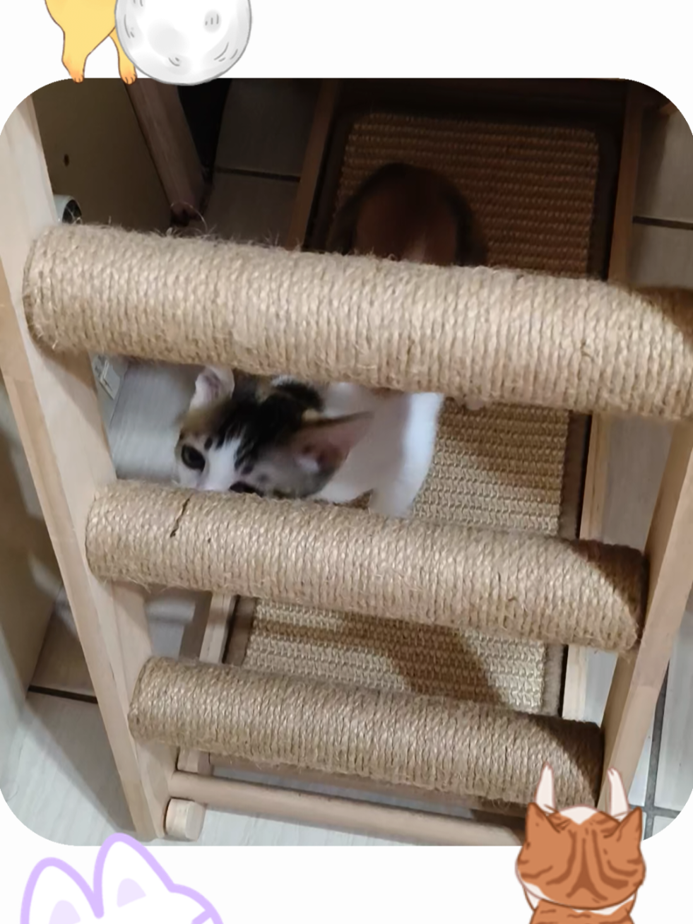@💓小晰晰💓笑って笑って