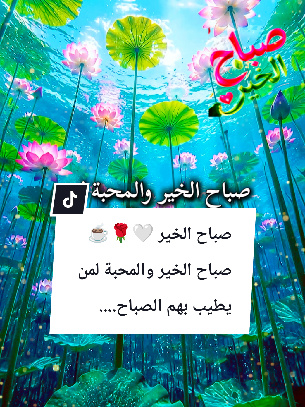 @🌟𝗦𝗼𝘂𝘇𝗮𝗻 𝗖𝗵𝗮𝗺𝘀