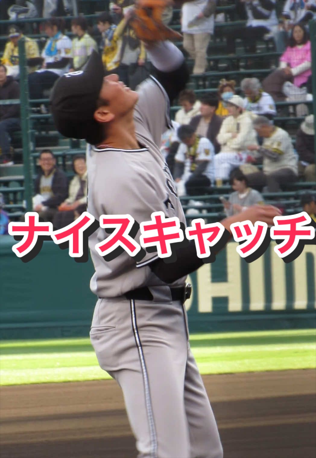 @ヘパリーゼ🫀