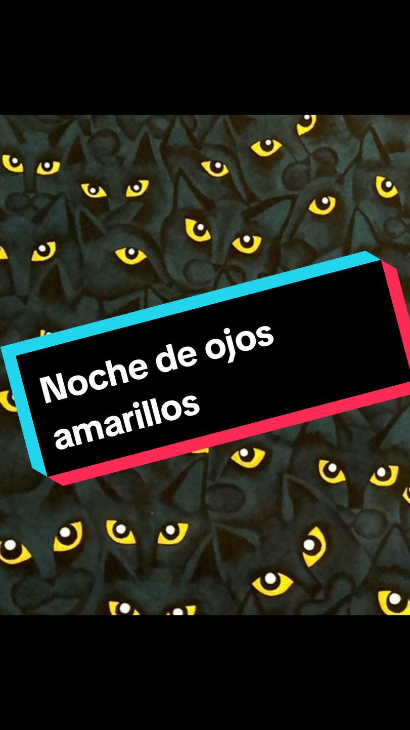 @michitiendachile