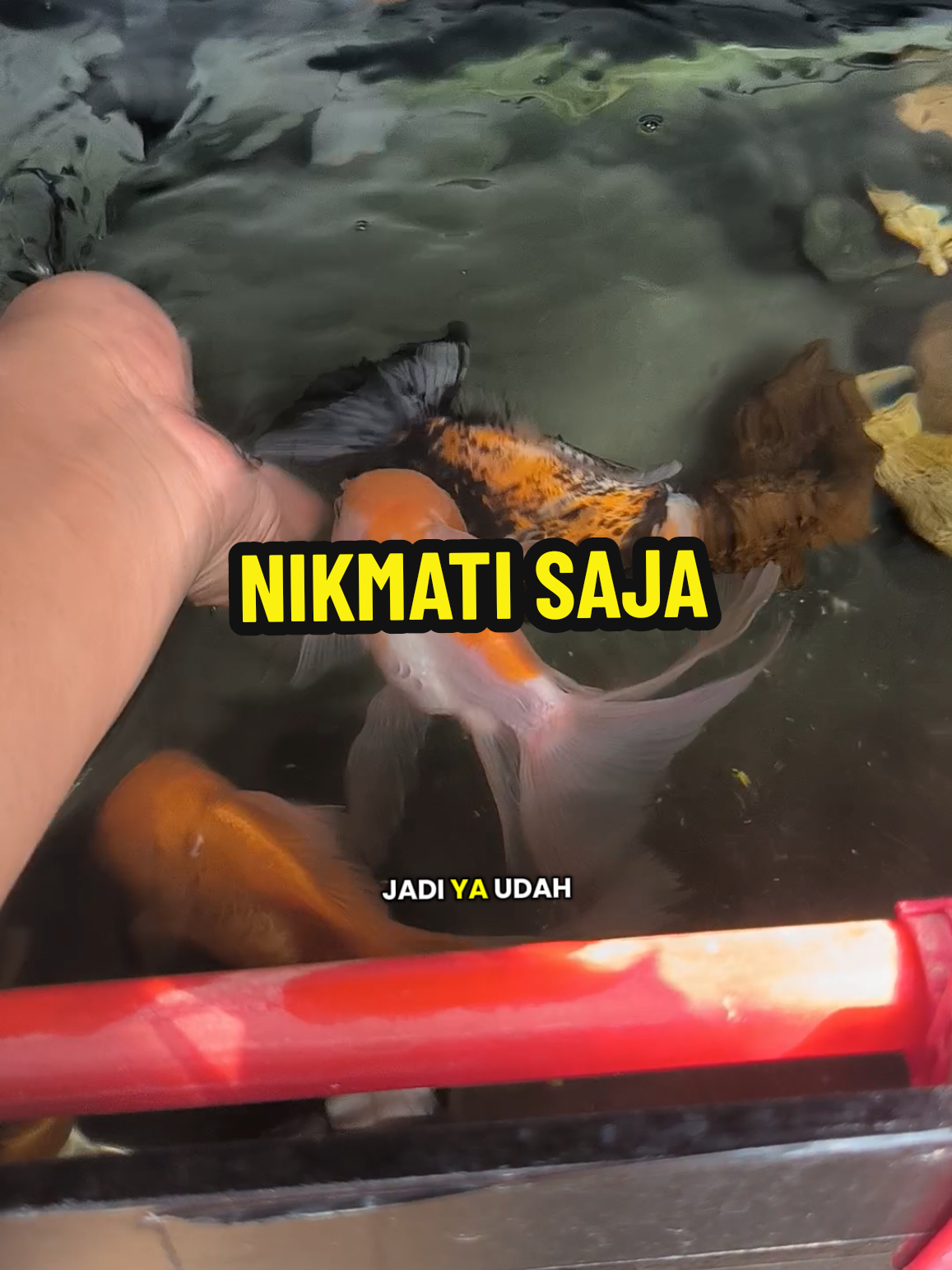 @Punya Namita