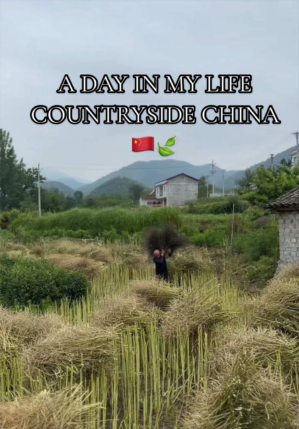 @gailwanderingchina