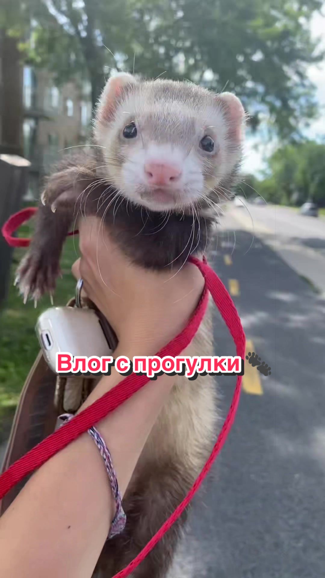 @F_u_r_e_t🐾✨🤍