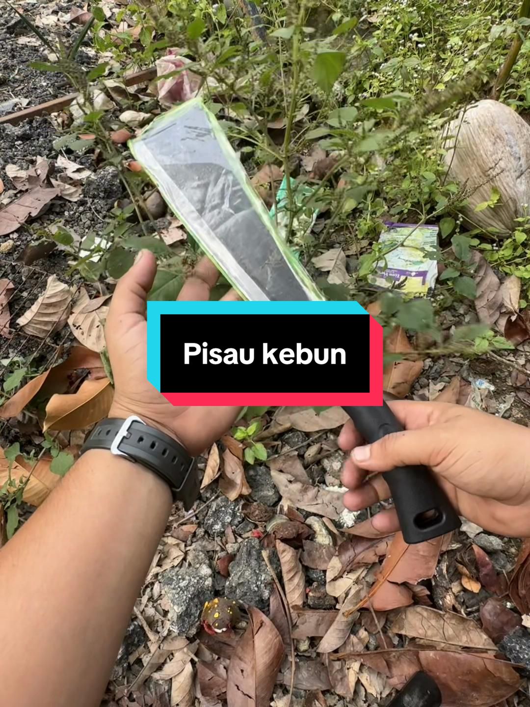 @hisyam