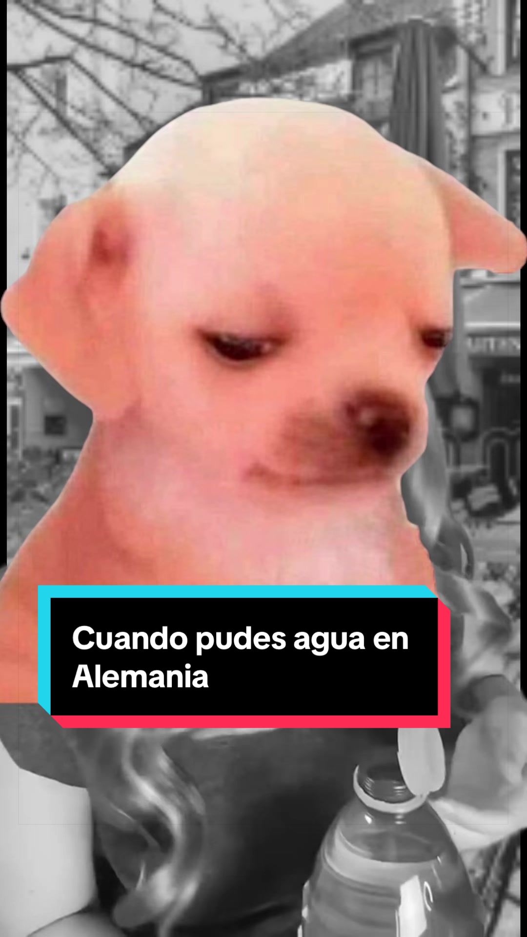 @Andy Enriquez