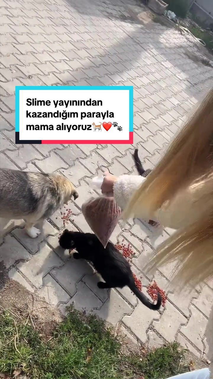 @irem mine🦋